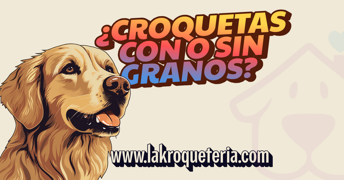 🐶 Croquetas sin granos vs. croquetas con granos: ¿cuál es mejor para tu mascota?