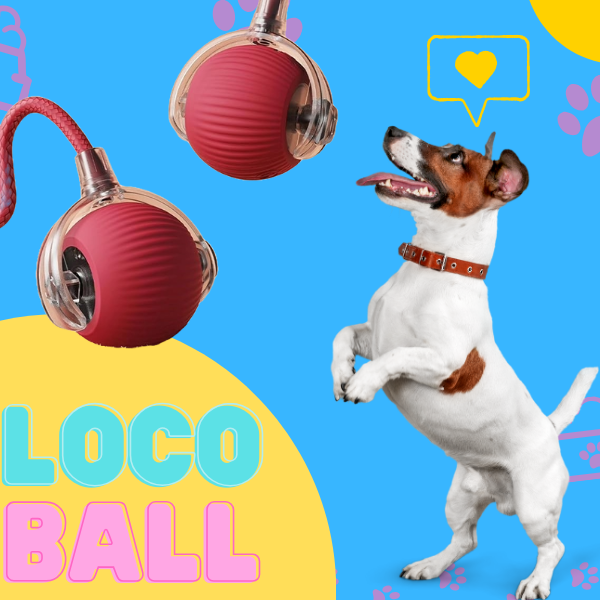 LocoBall – Pelota Interactiva para Mascotas