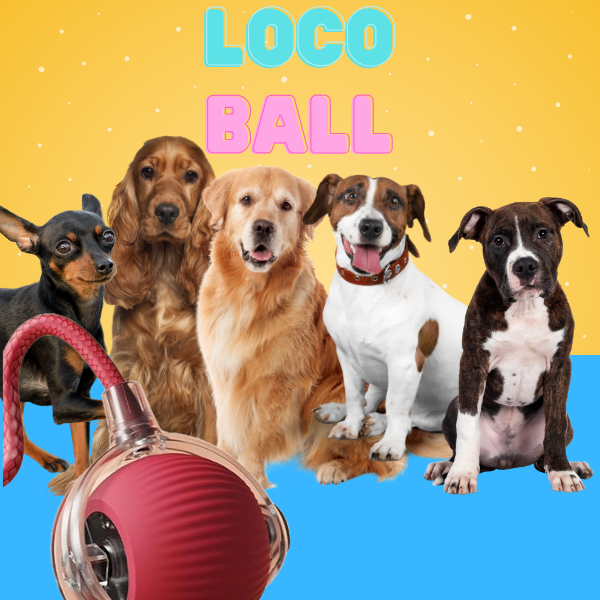 LocoBall – Pelota Interactiva para Mascotas