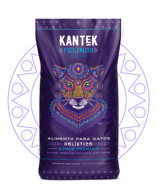 Kantek Felinos Adulto