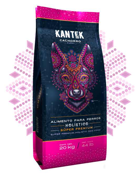 Kantek Cachorro
