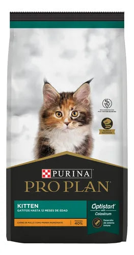 Pro Plan Kitten