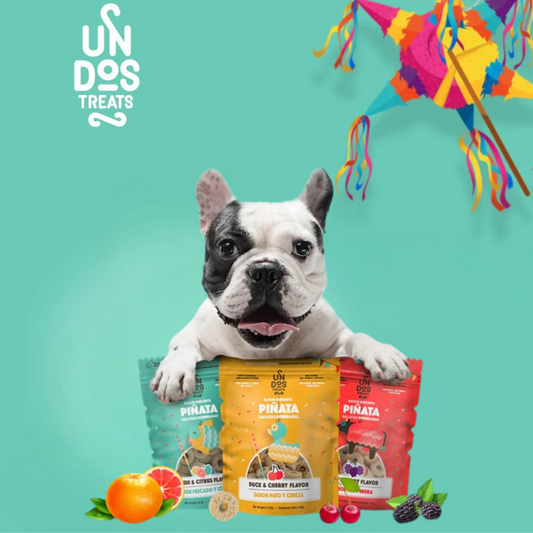 Un dos Treats Baked Biscuits Piñata Galletas Horneadas