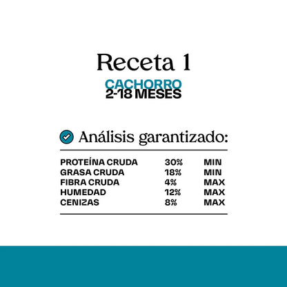 Receta 1 Cachorro