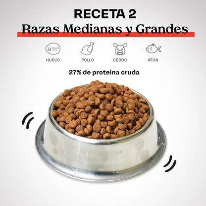 Receta 2 Razas Medianas y Grandes