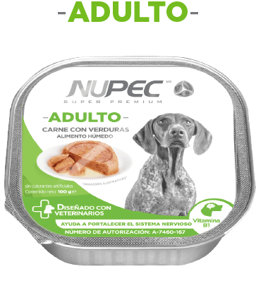 Alimento Húmedo Perro Adulto