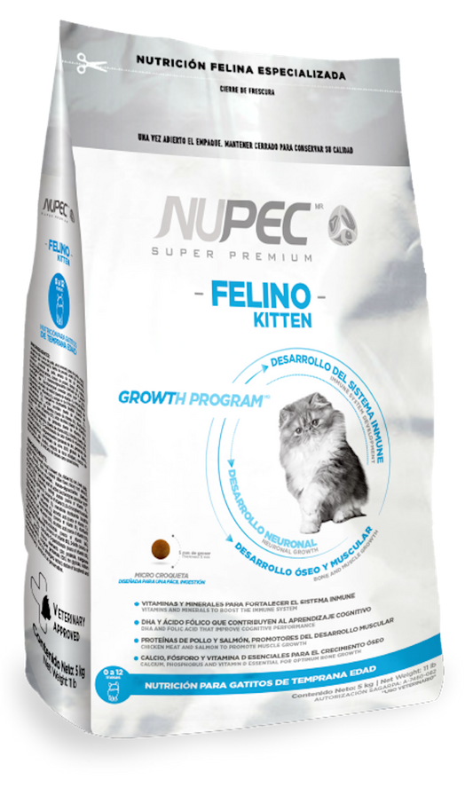 Felino kitten