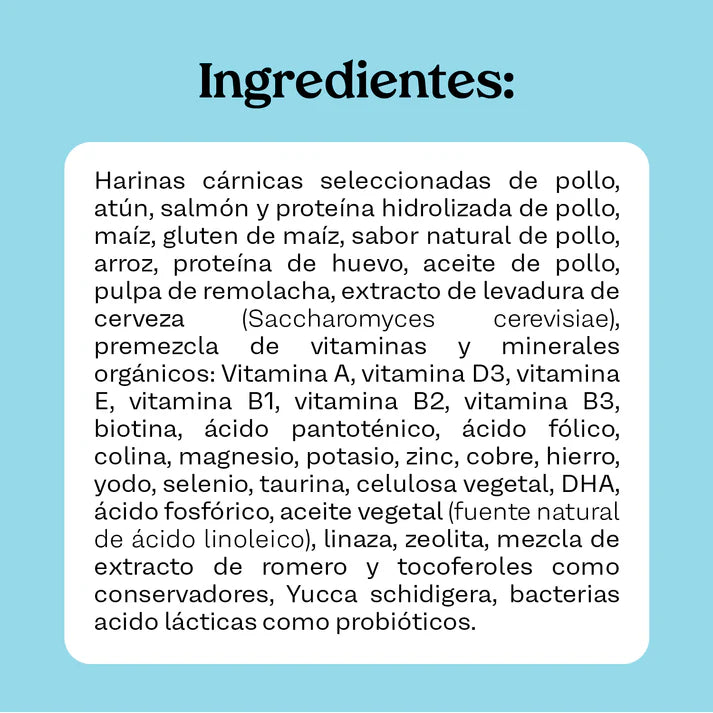 Receta Gato Original Maka