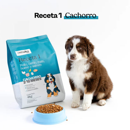Receta 1 Cachorro
